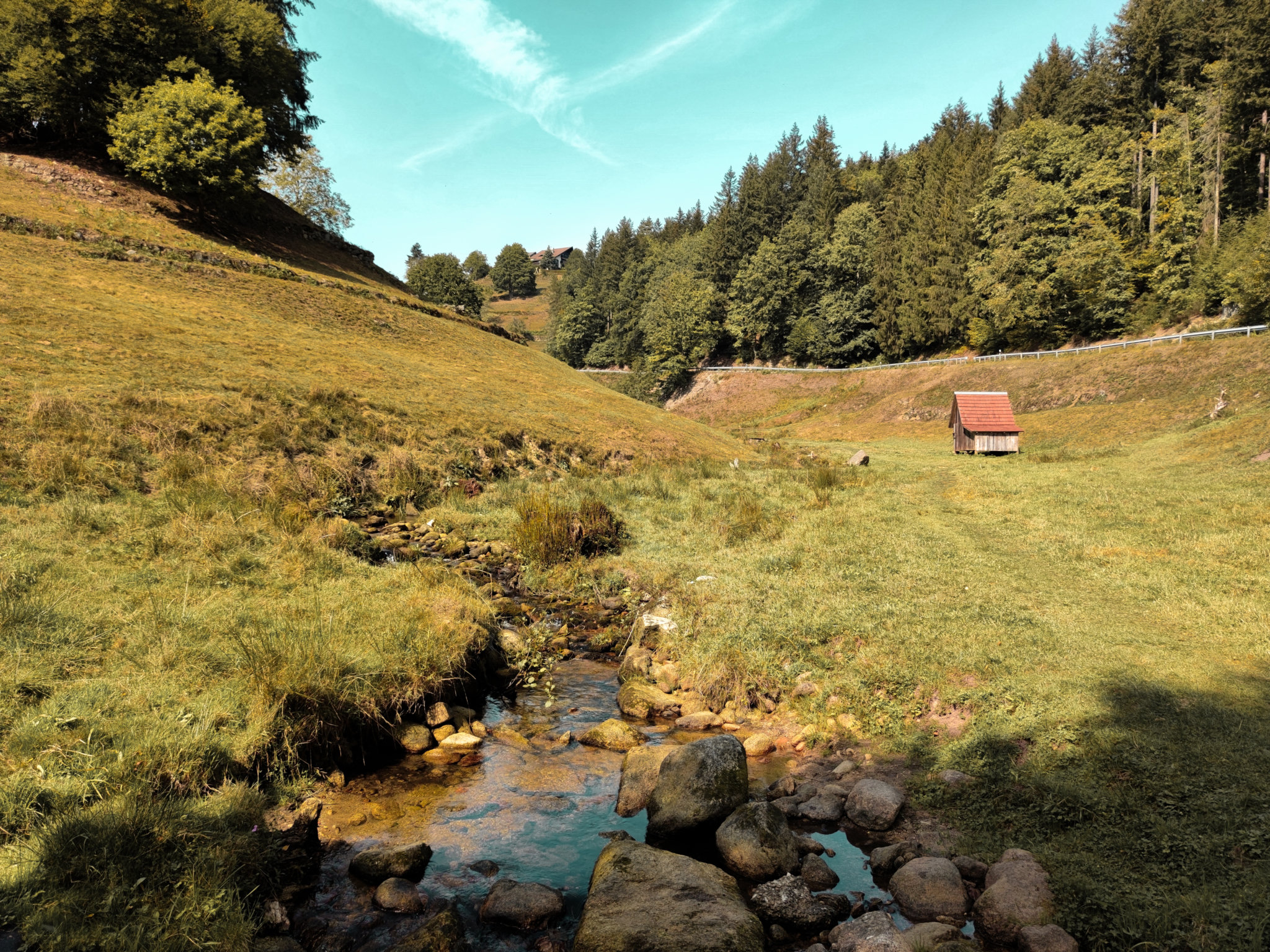 Wandern Im Murgtal (Schwarzwald): Der Ziegenpfad In Forbach | Petit Chapeau