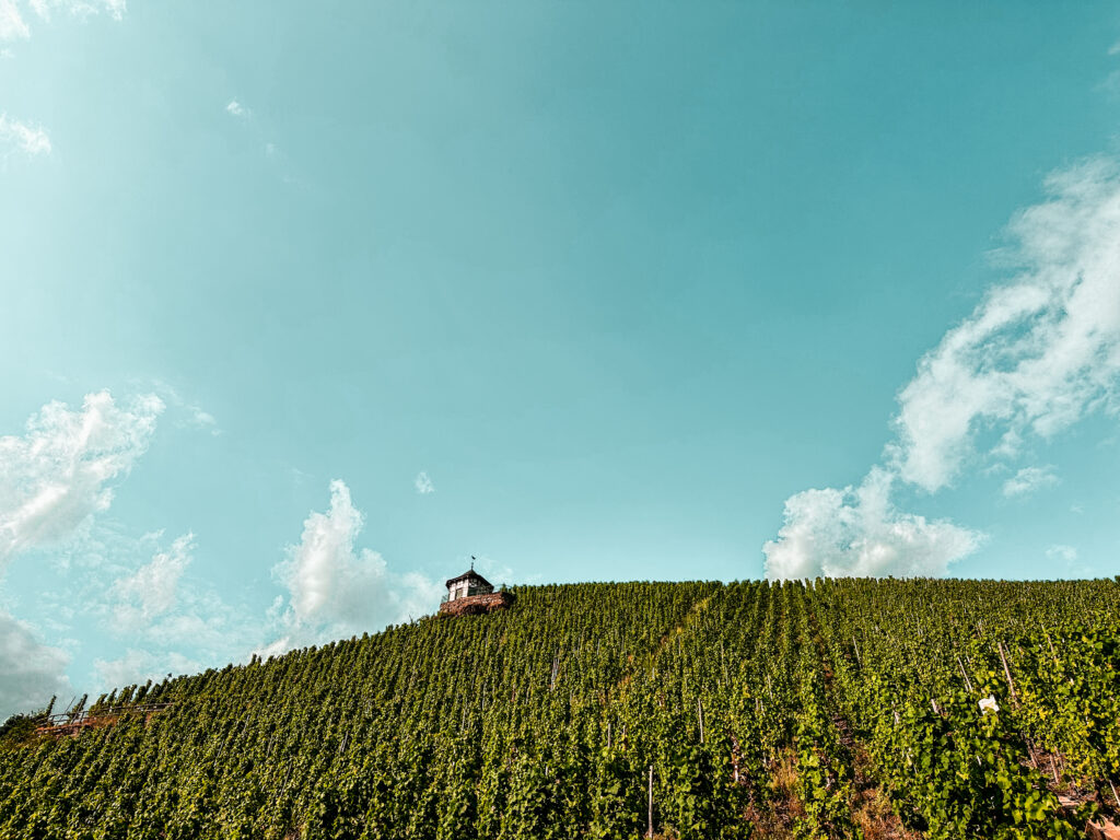 Urlaub in Bernkastel-Kues: Sehenswürdigkeiten, Genuss- & Insidertipps