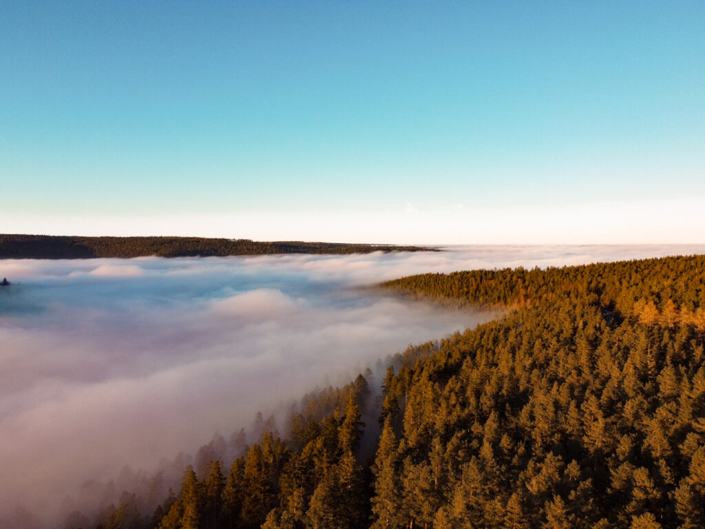 Den Nordschwarzwald im Herbst entdecken: Urlaub mit kuscheliger Wellness Auszeit in Bad Wildbad