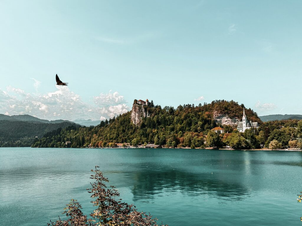 Schätze Sloweniens: Genuss & Gastfreundschaft in Bela Krajina und Dolenjske Toplice