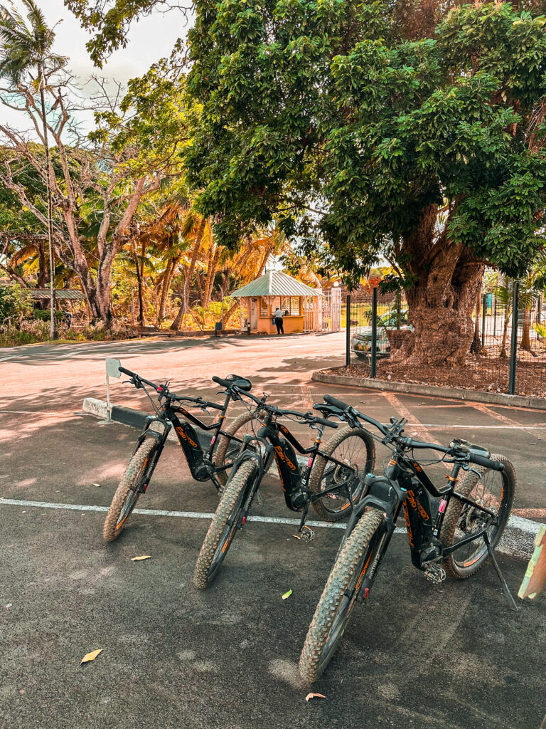 E-Bike Tour zum Botanischen Garten & ins Zuckerrohrmuseum