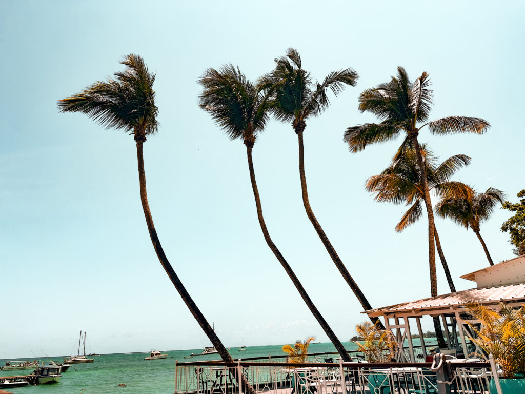 Mehr als nur Traumstrände: 11 Aktivitäten für euren Flitterwochen Urlaub auf Mauritius